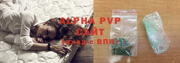 PSILOCYBIN Белокуриха