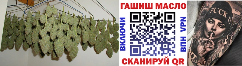Купить закладки  Пустошка  Дистиллят ТГК концентрат 