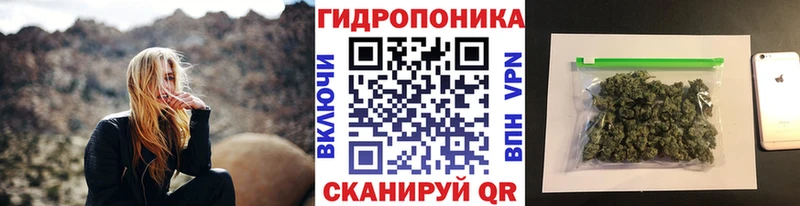 Каннабис Bruce Banner  Купить закладки  Пустошка 